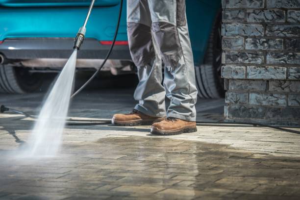 Best Driveway Pressure Washing  in Romeo, MI