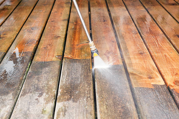 Best Fence Cleaning  in Romeo, MI